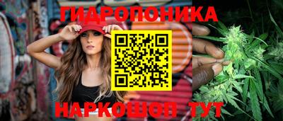 стафф Краснодар