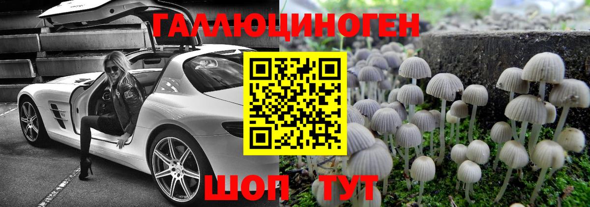 Калуга  Галлюциногенные грибы GOLDEN TEACHER  Псилоцибиновые грибы ЛСД  Вход с VPN 